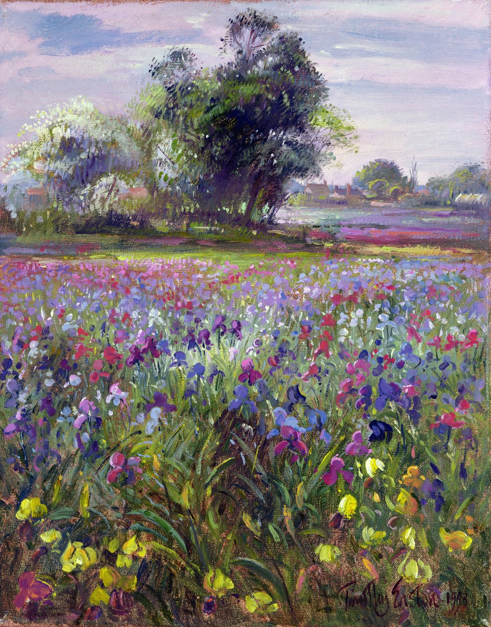 Íris e Árvore de Maio Distante, 1993 de Timothy Easton