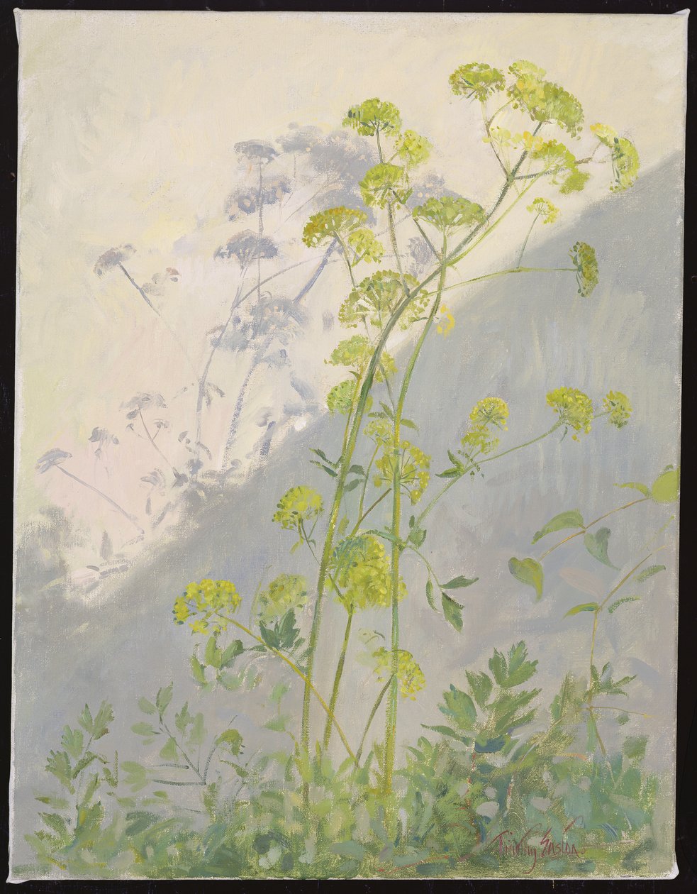 Lovage Against Diagonal Shadows, 1999 de Timothy Easton