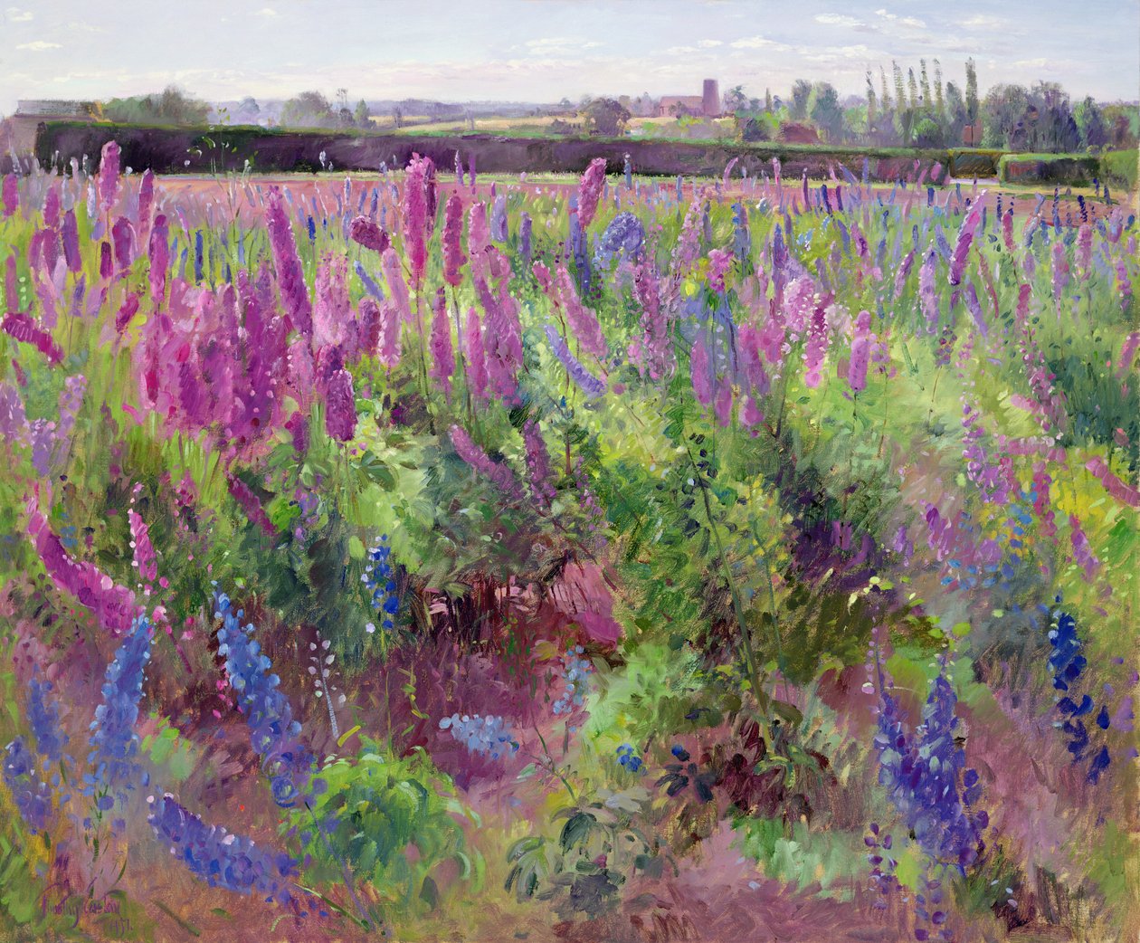 O Campo Delphinium, 1991 de Timothy Easton