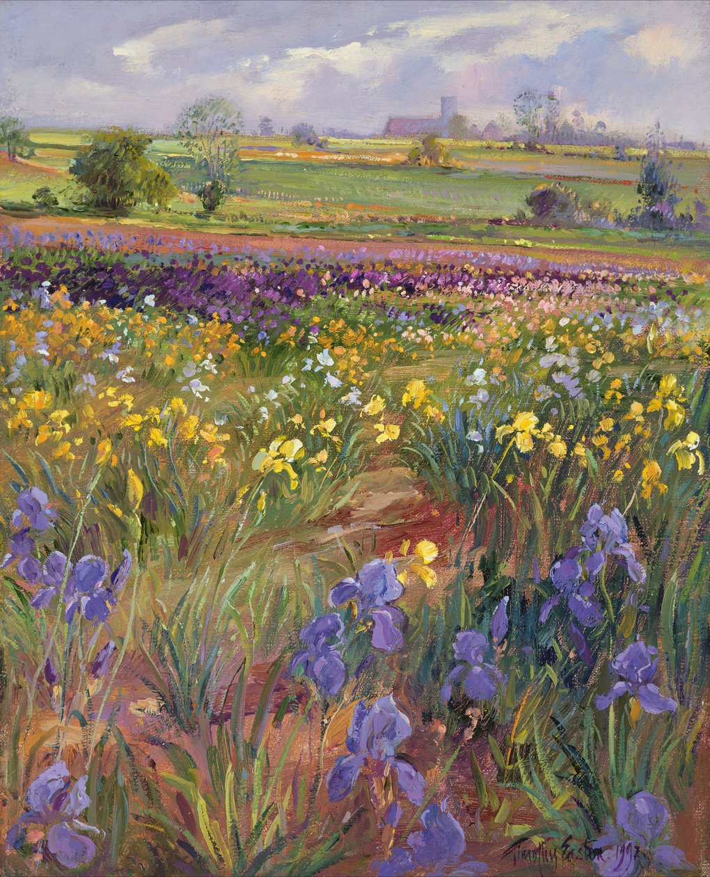 Para a Igreja Burgate de Timothy Easton