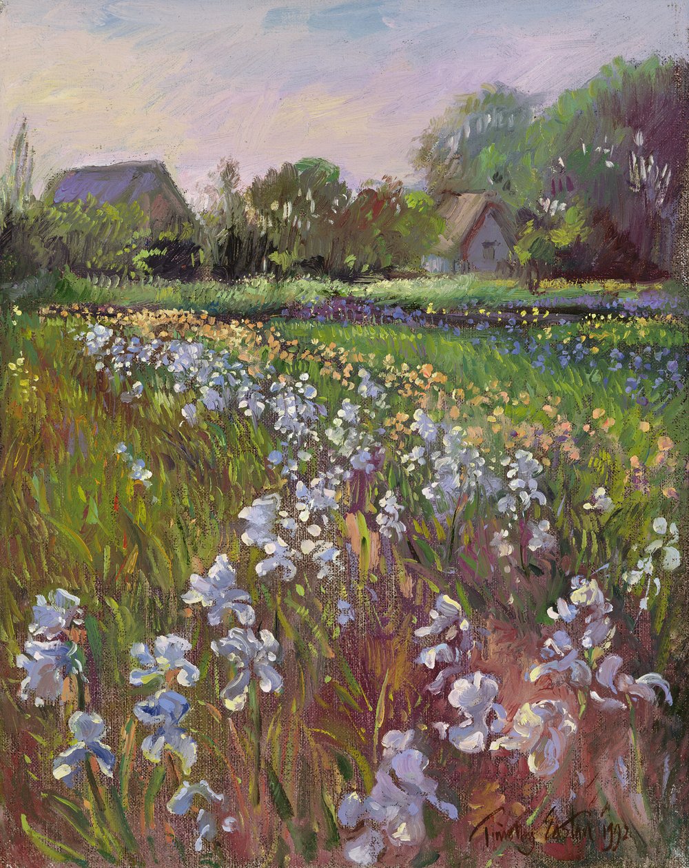 Íris brancas e fazenda de Timothy Easton