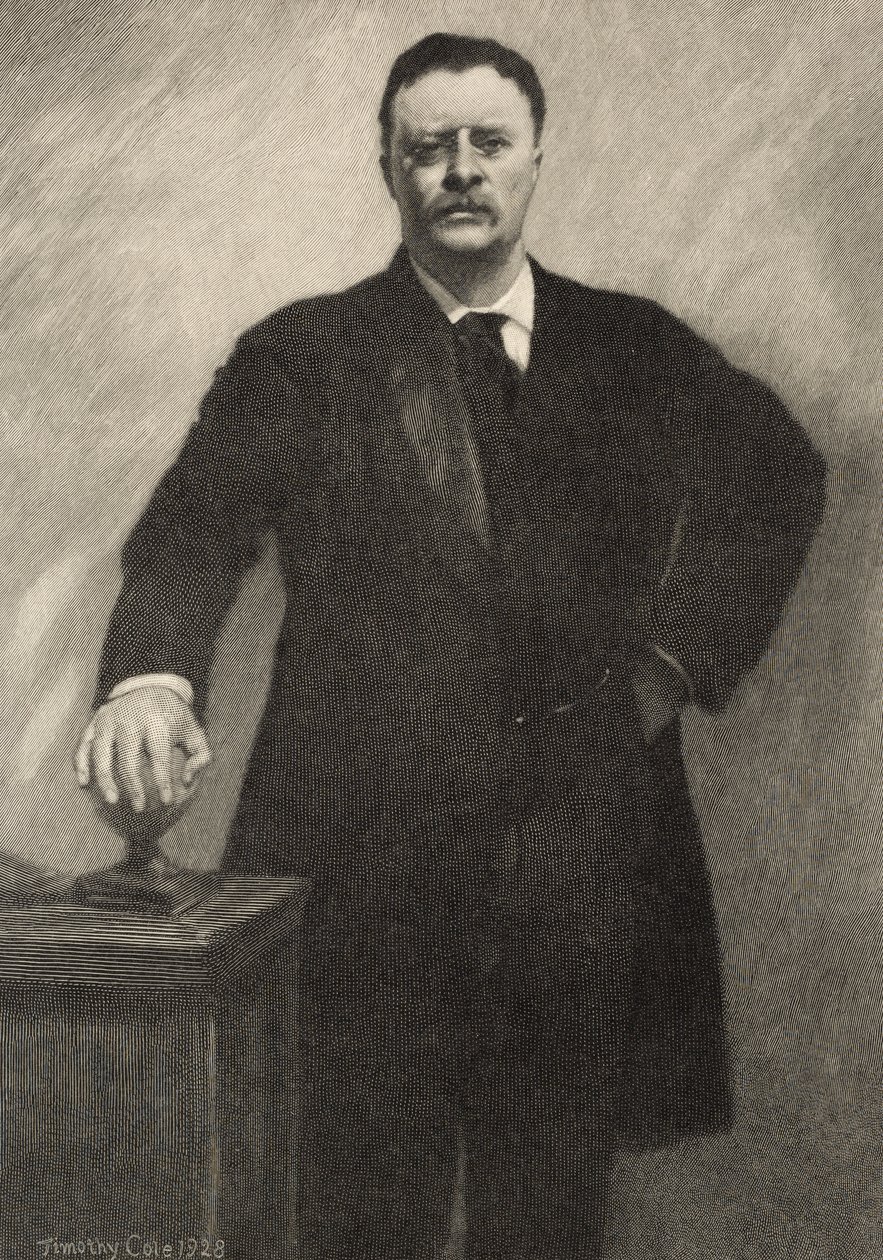 Theodore Roosevelt, 1928 de Timothy Cole