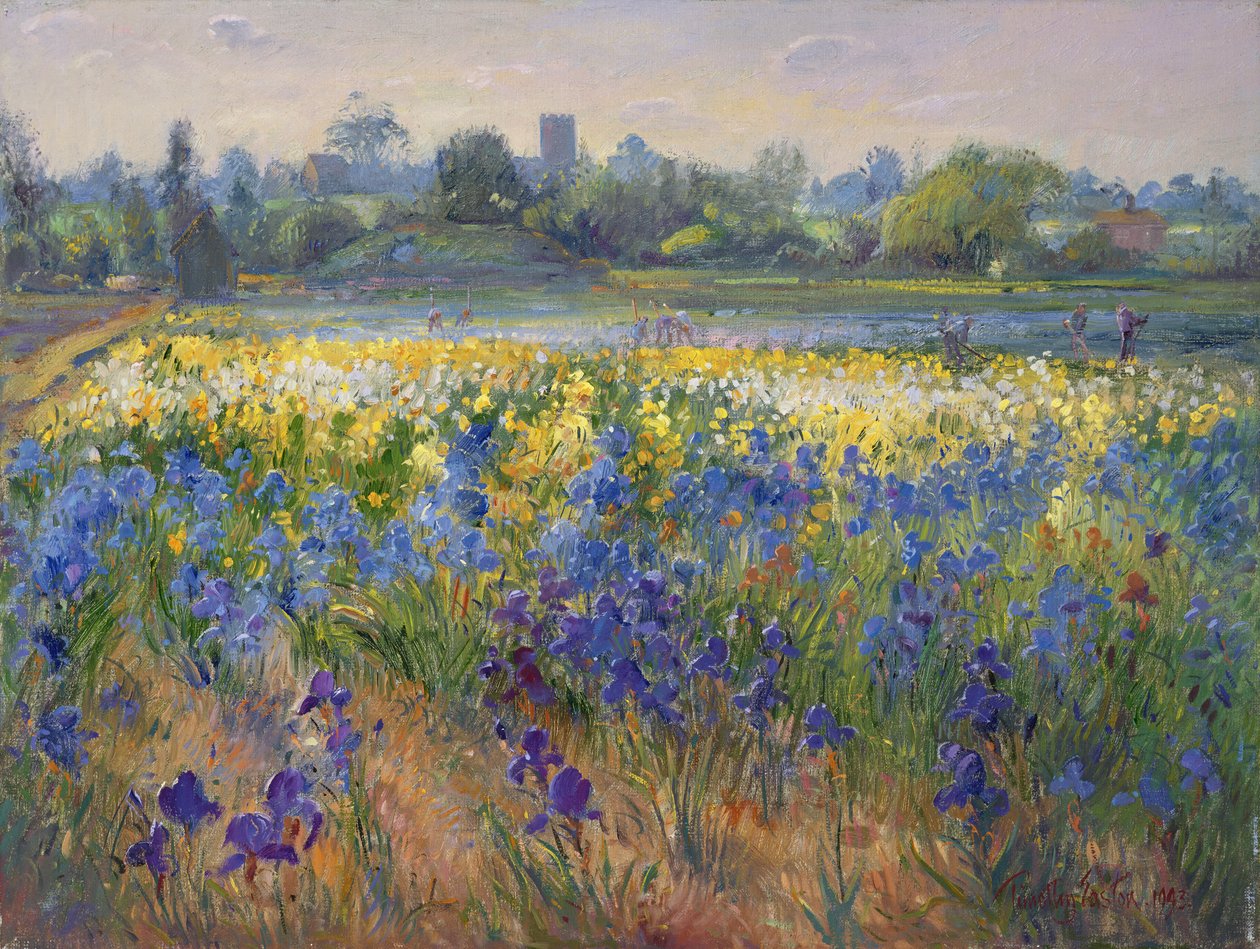 Blue Haze na Burgate, 1993 de Timothy Easton