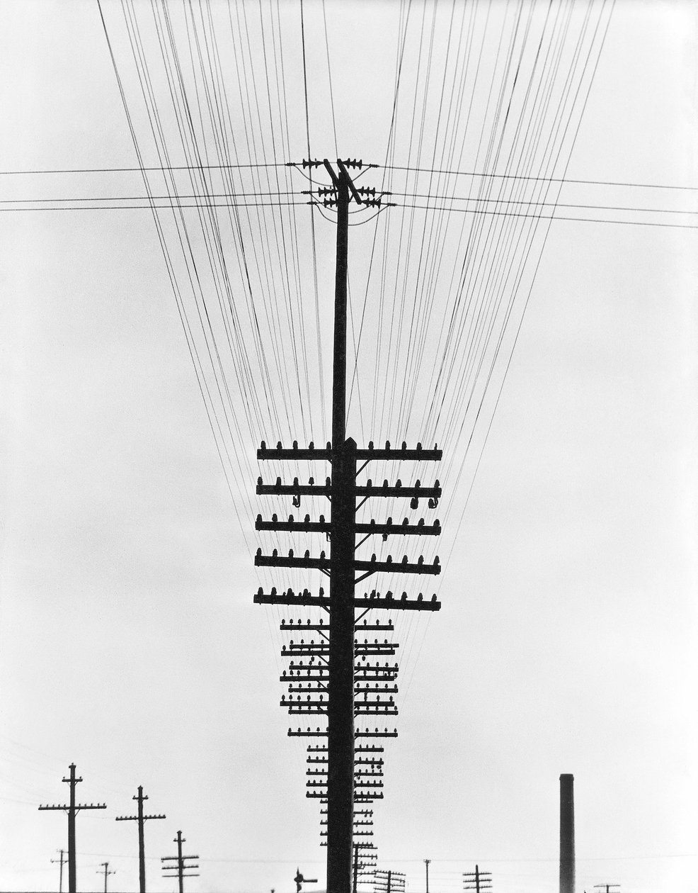 Telegraph Wires, México, 1925 de Tina Modotti