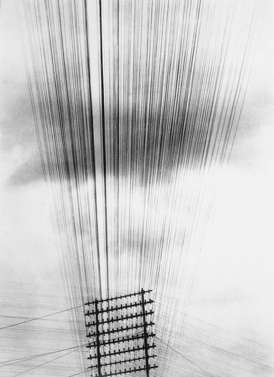 Fios Telefônicos, México, 1925 de Tina Modotti