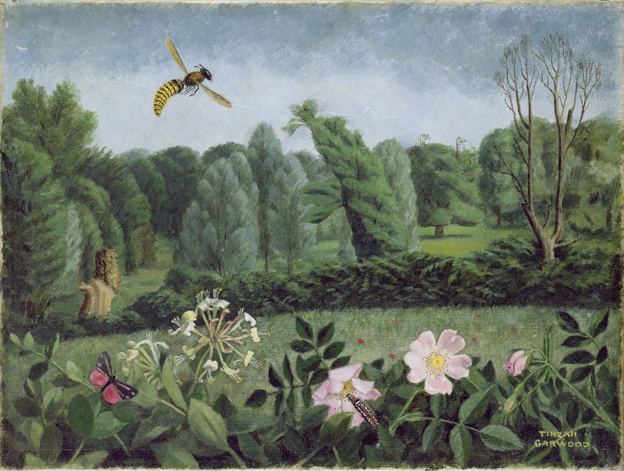 Hornet e Rosa Selvagem de Tirzah Ravilious