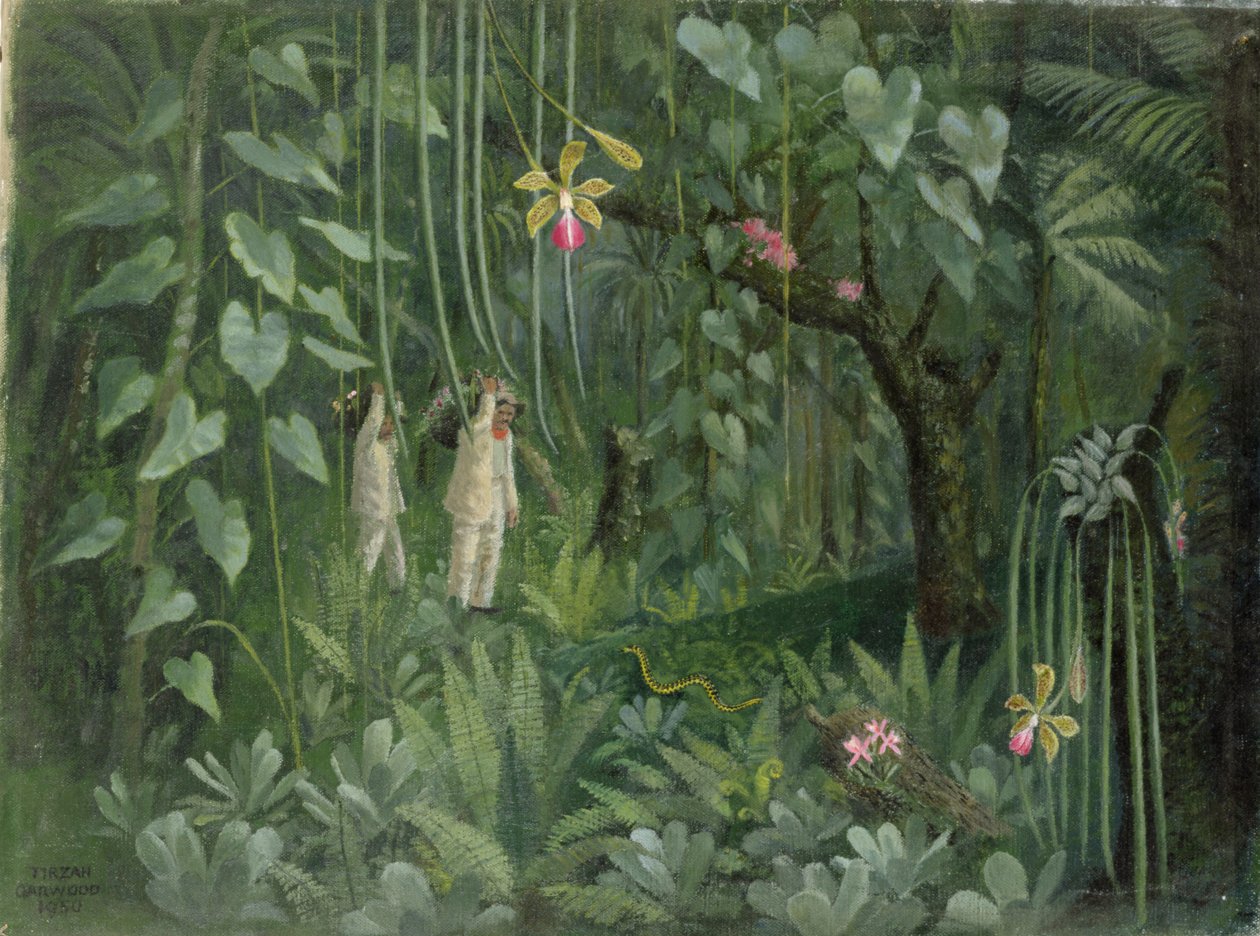 Caçadores de Orquídeas do Brasil de Tirzah Ravilious