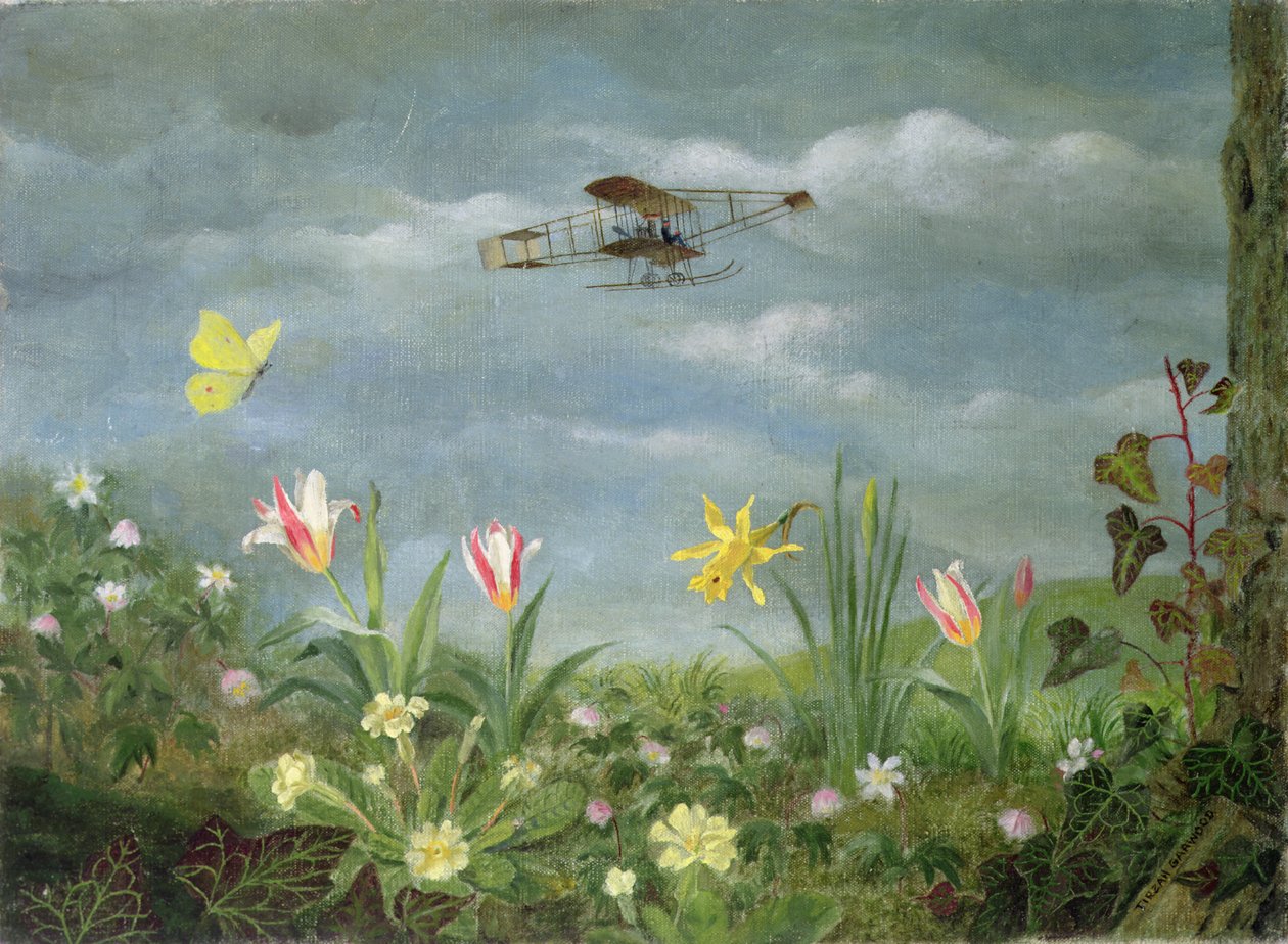 Primavera de vôo de Tirzah Ravilious
