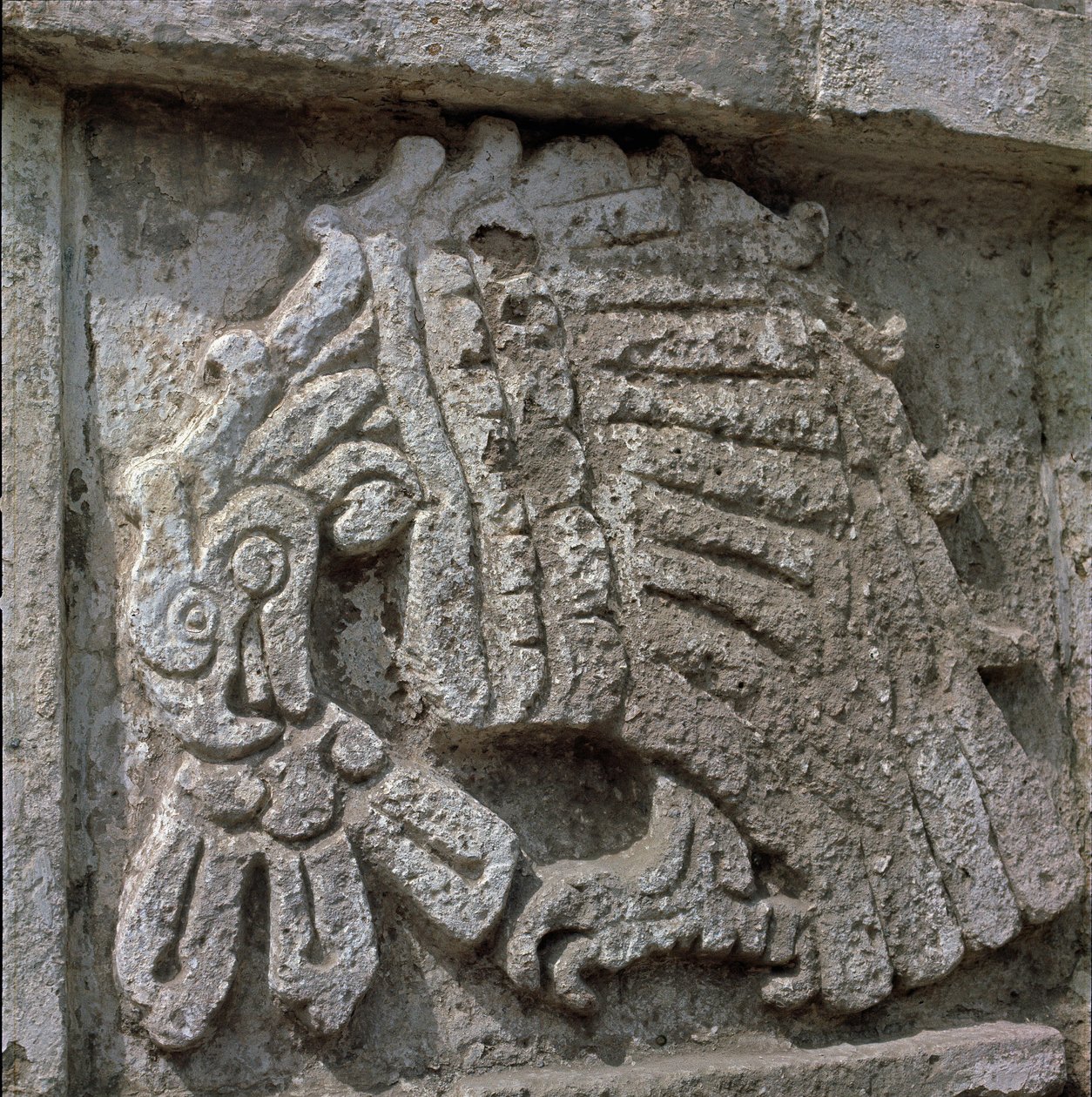 Alívio de uma águia, templo de Quetzalcoatl de Toltec Toltec