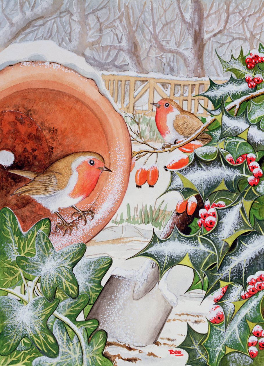 Robins de Natal (wc) de Tony Todd