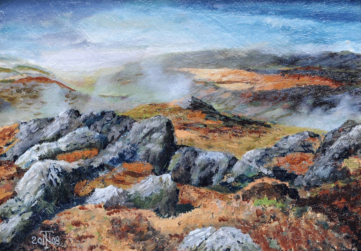Langdales top, Cumbria, 2008 de Trevor Neal
