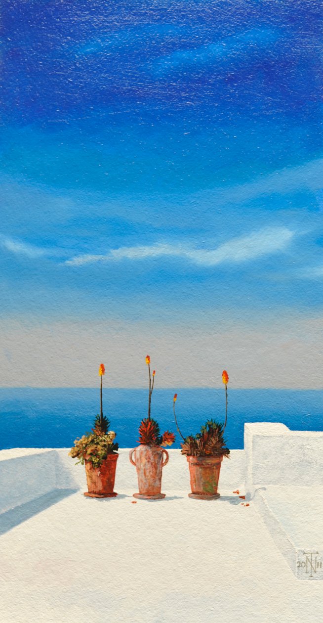 Santorini 8, 2010 de Trevor Neal