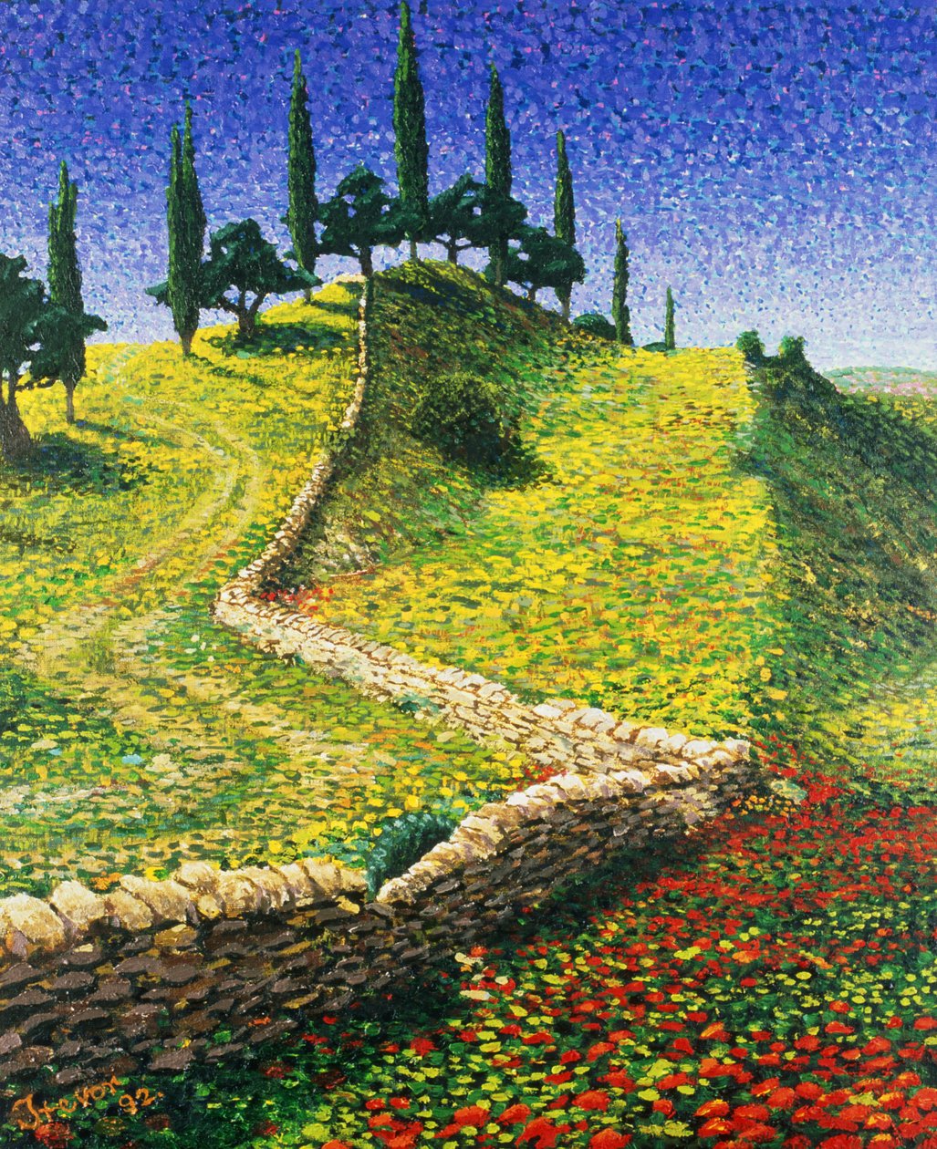 Colina Espanhola, 1992 de Trevor Neal