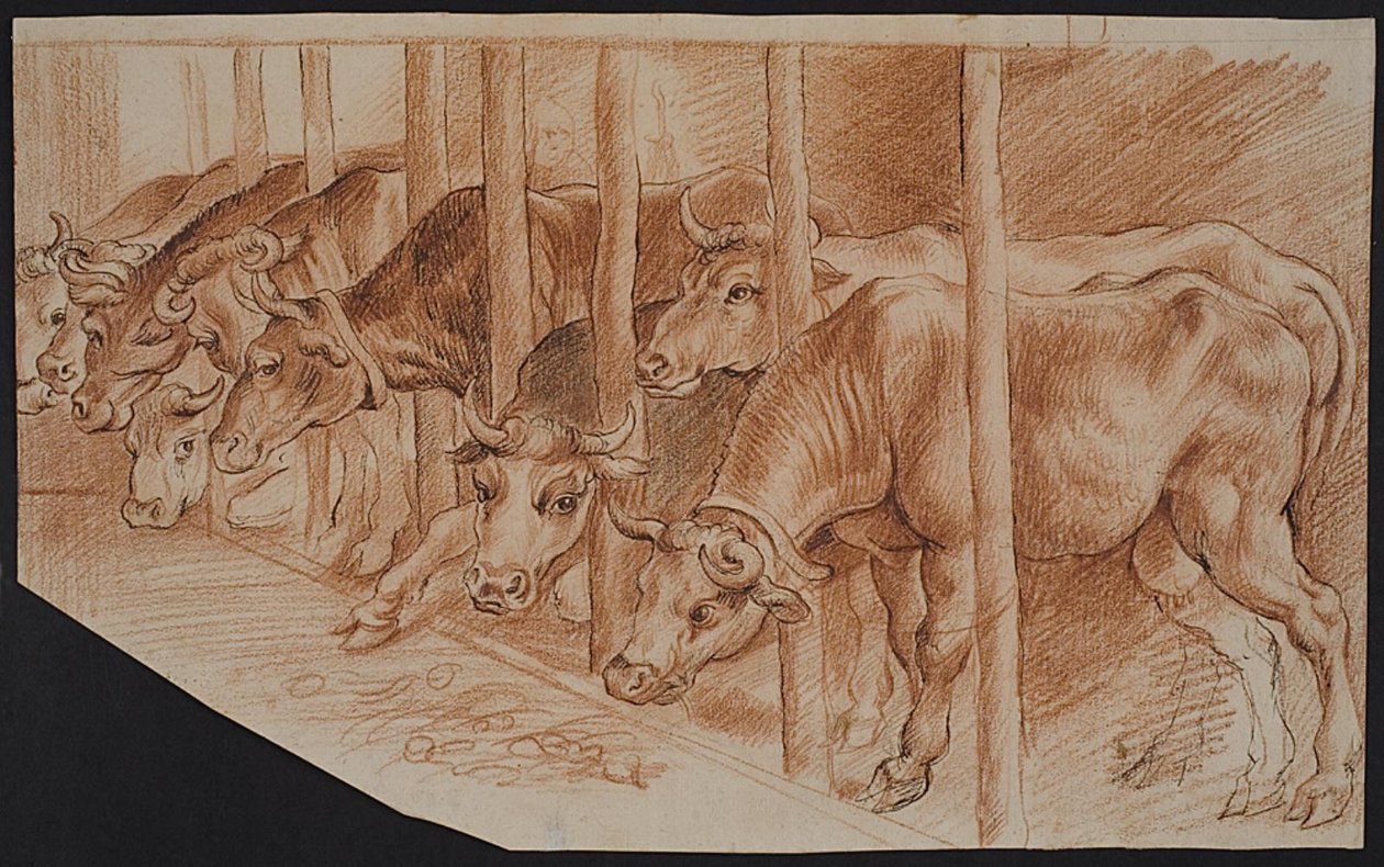 Vacas de "Inverno" de Ubekendt
