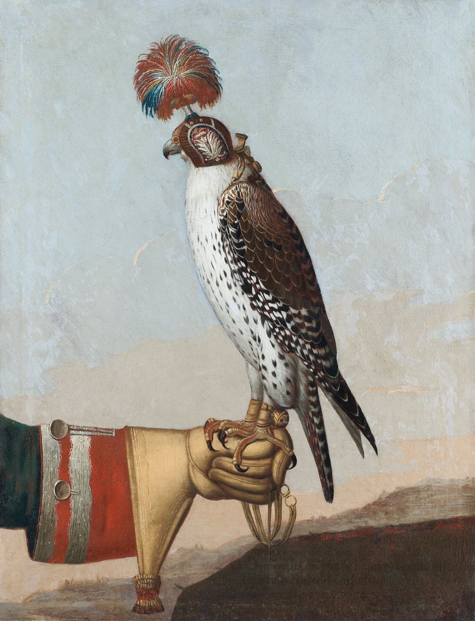Gerfalcon islandês de Unbekannt Unbekannt