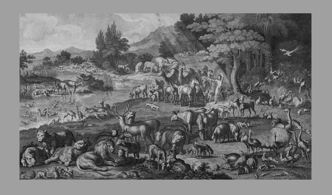 Adam nomeando a Criação, 1818. de Unbekannt