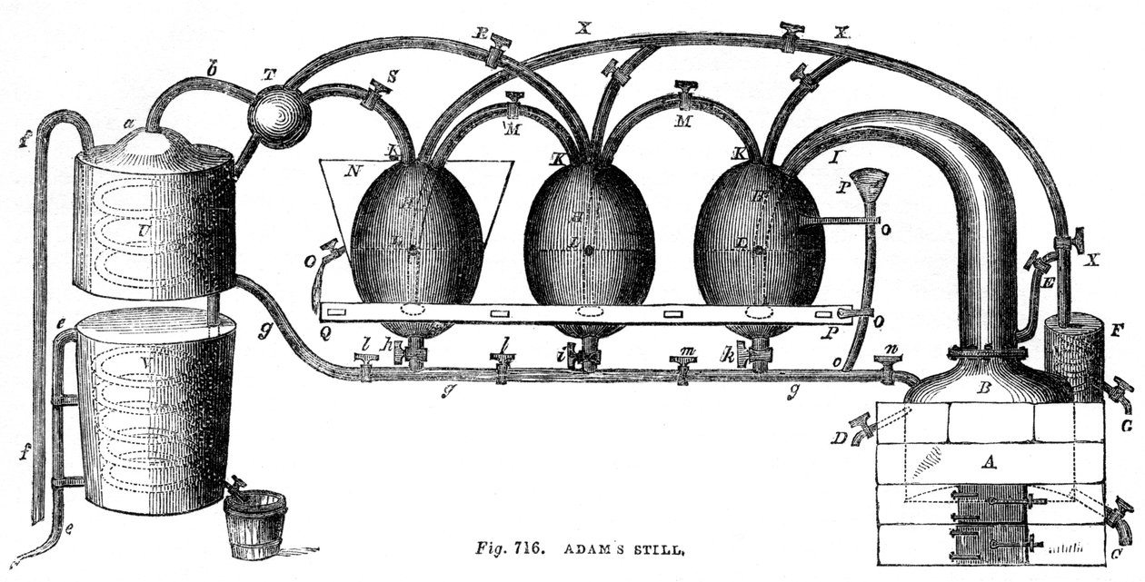 Adams ainda, 1886 de Unbekannt