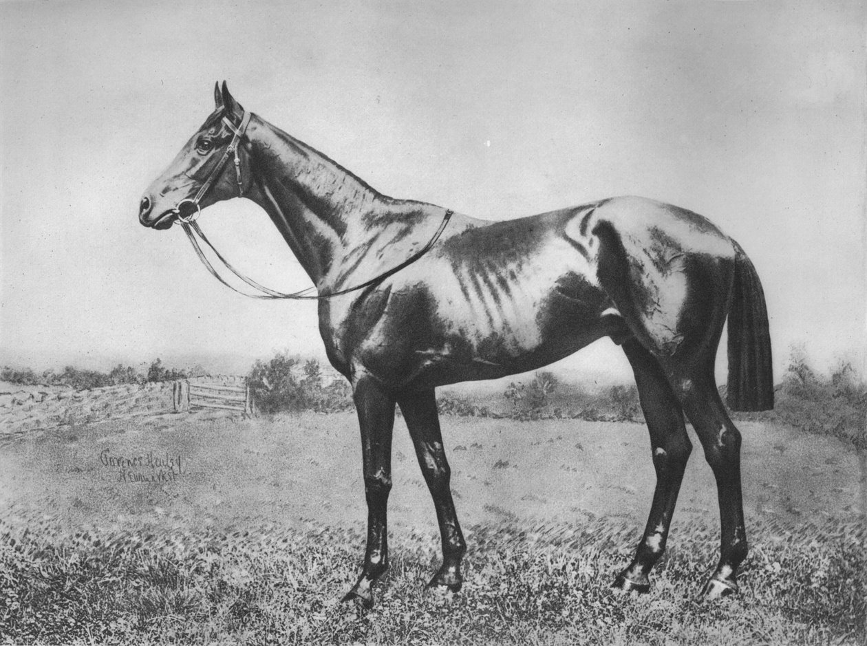 Arqueiro Negro, 1911 de Unbekannt