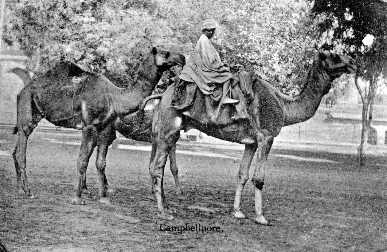 Campbellpore, Paquistão, século XX de Unbekannt