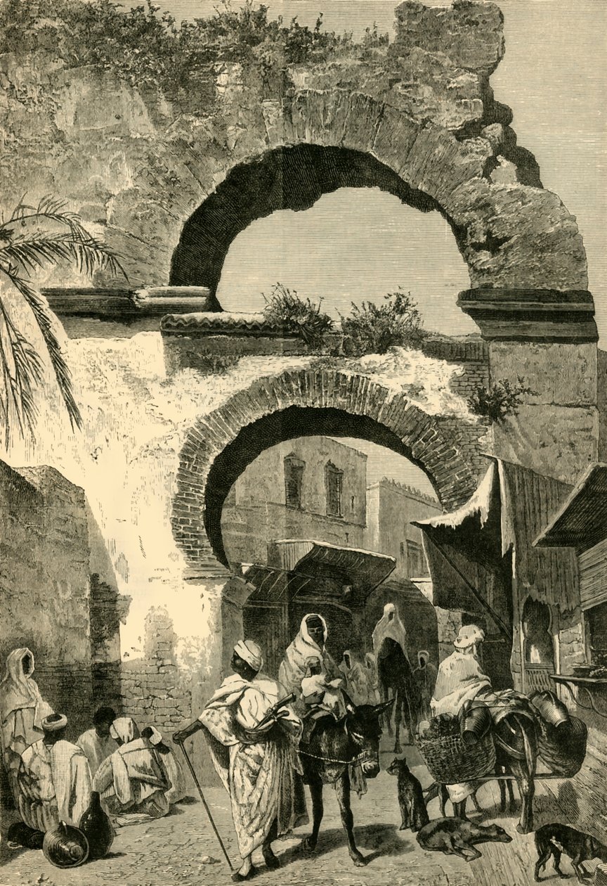 Portão da cidade em Tunis, 1881. de Unbekannt