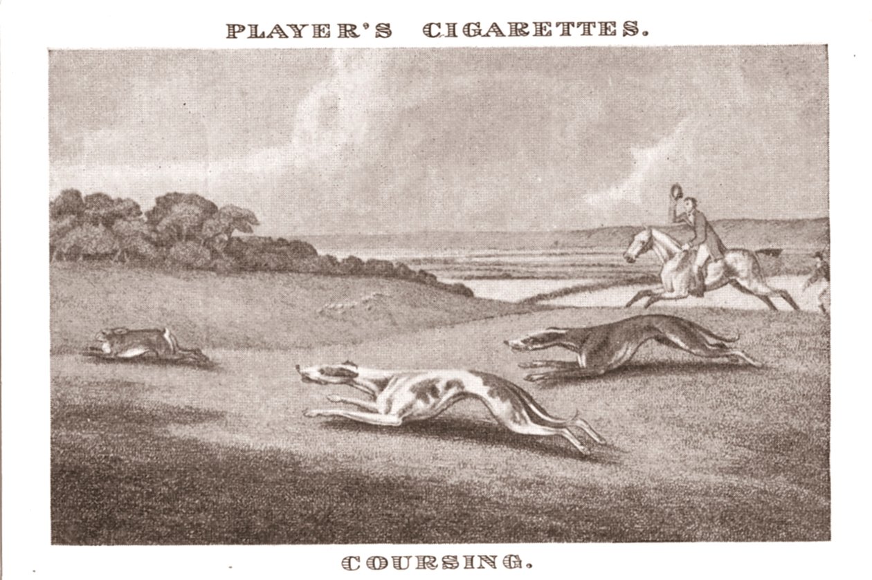 Coursing-11, 1924. de Unbekannt