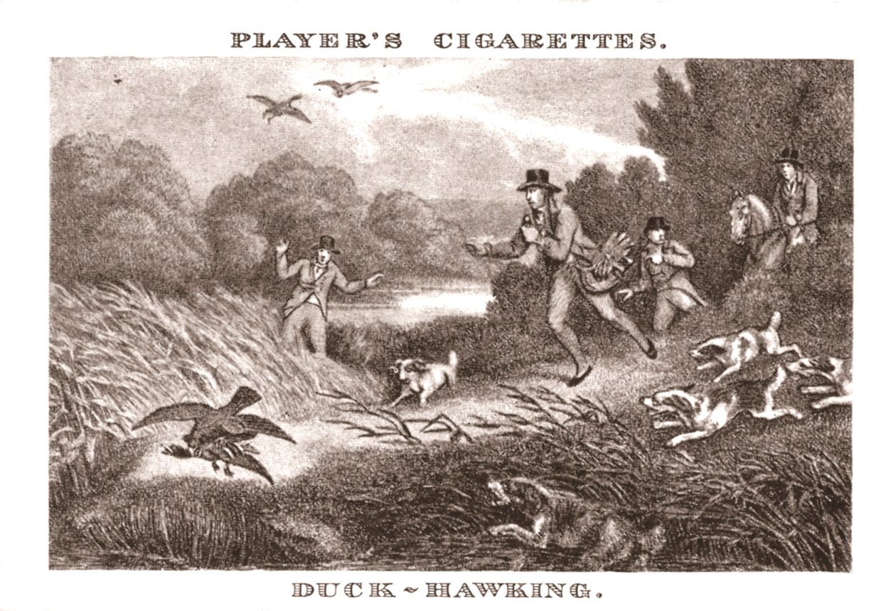 Duck-Hawking, 1924. de Unbekannt