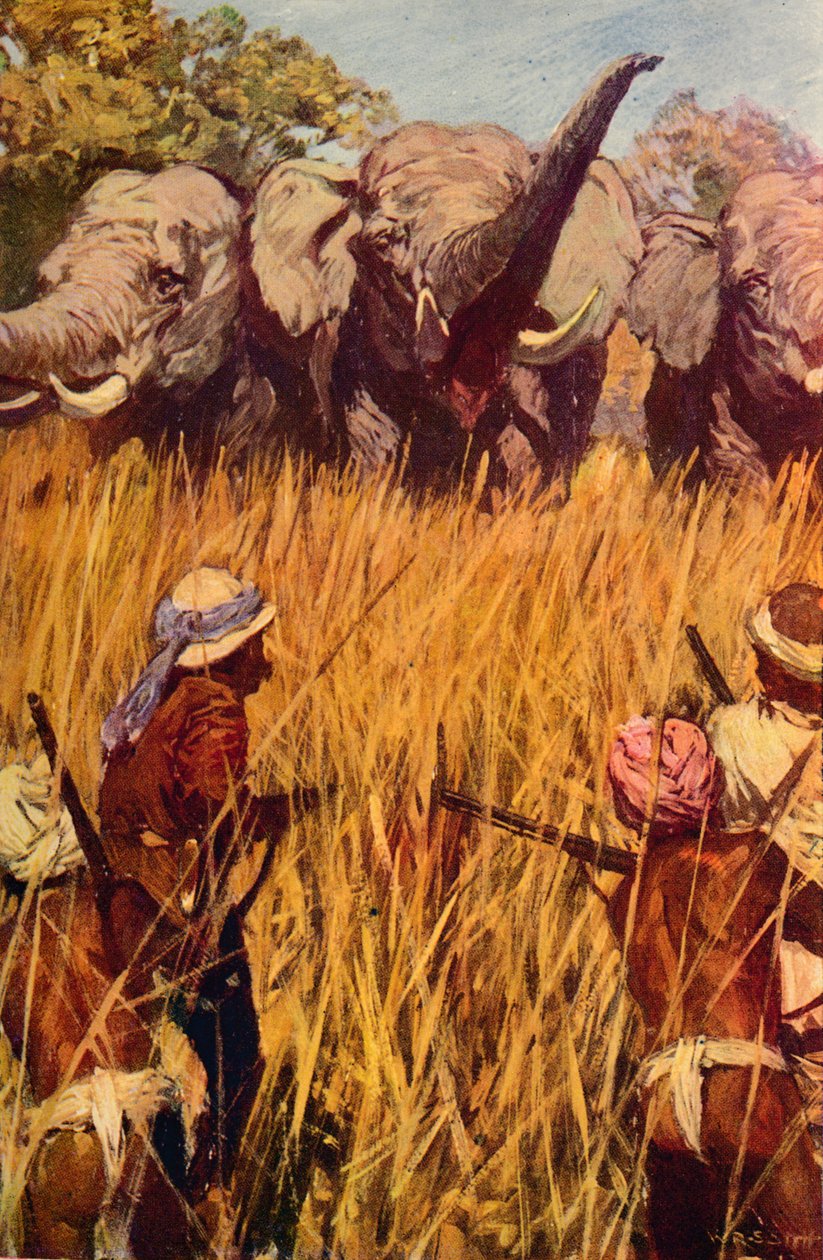 Elefantes em Chase, c1850 c1912 de Unbekannt