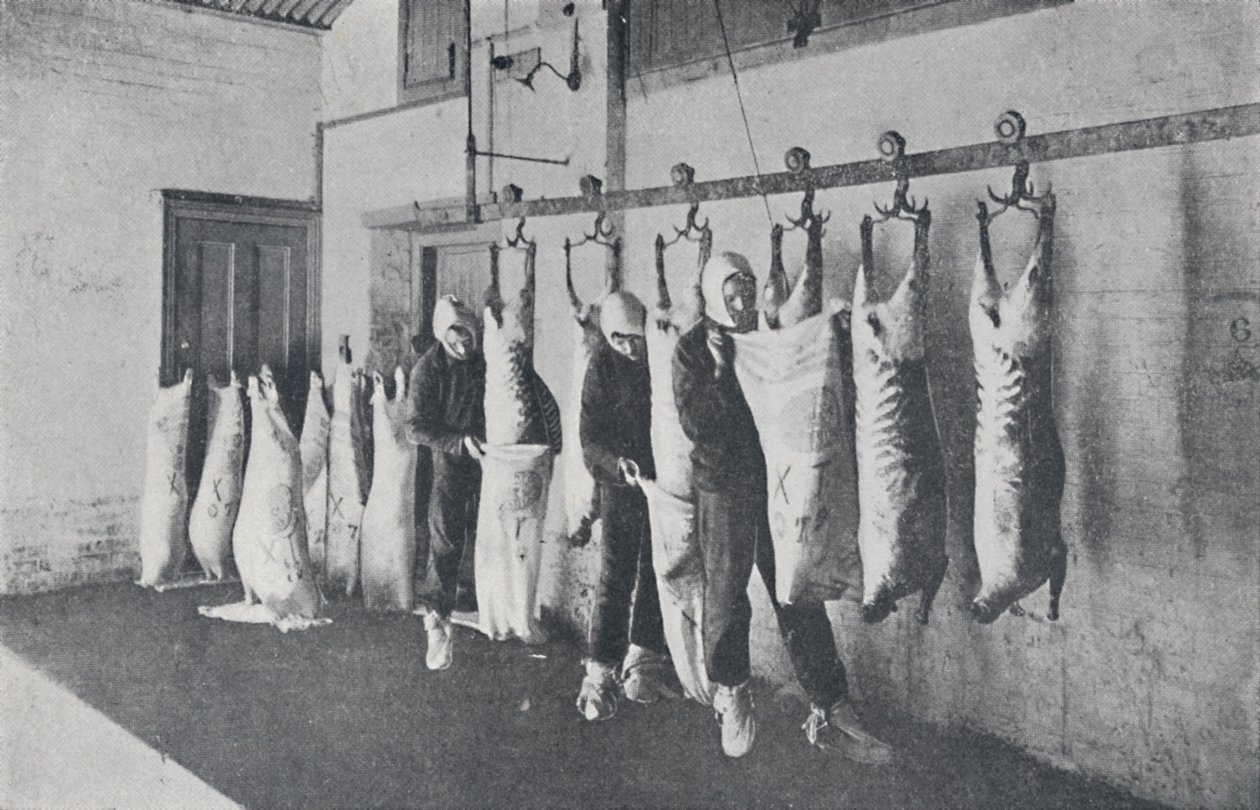 Carne congelada, 1923. de Unbekannt