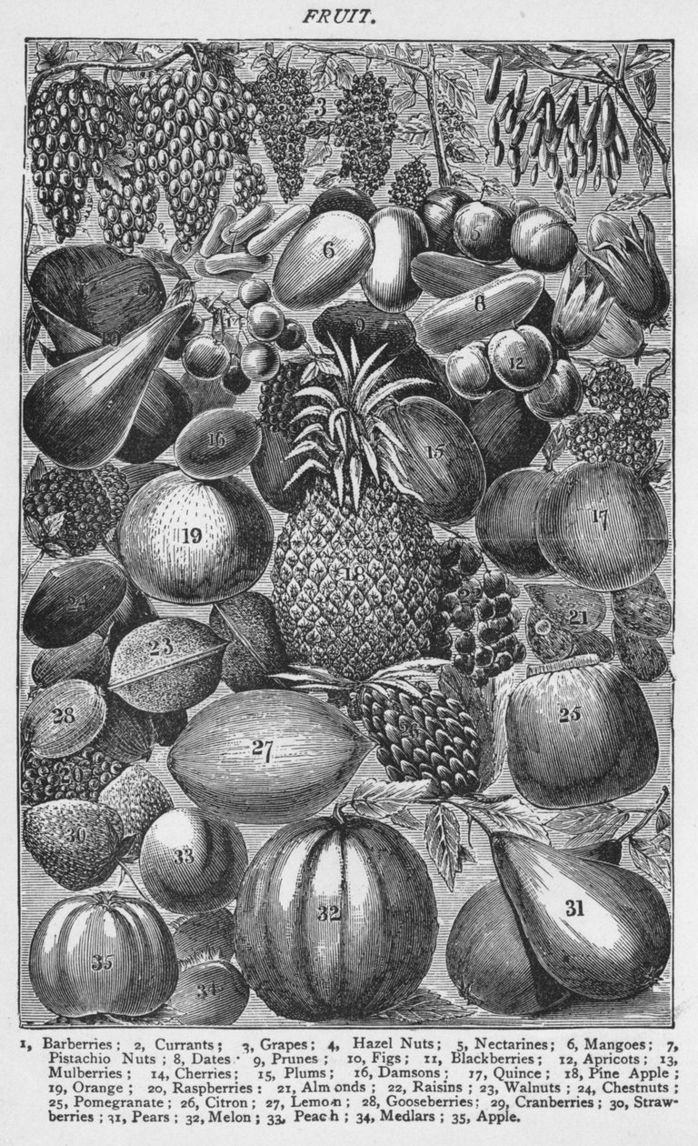 Frutas, 1907, 1907 de Unbekannt