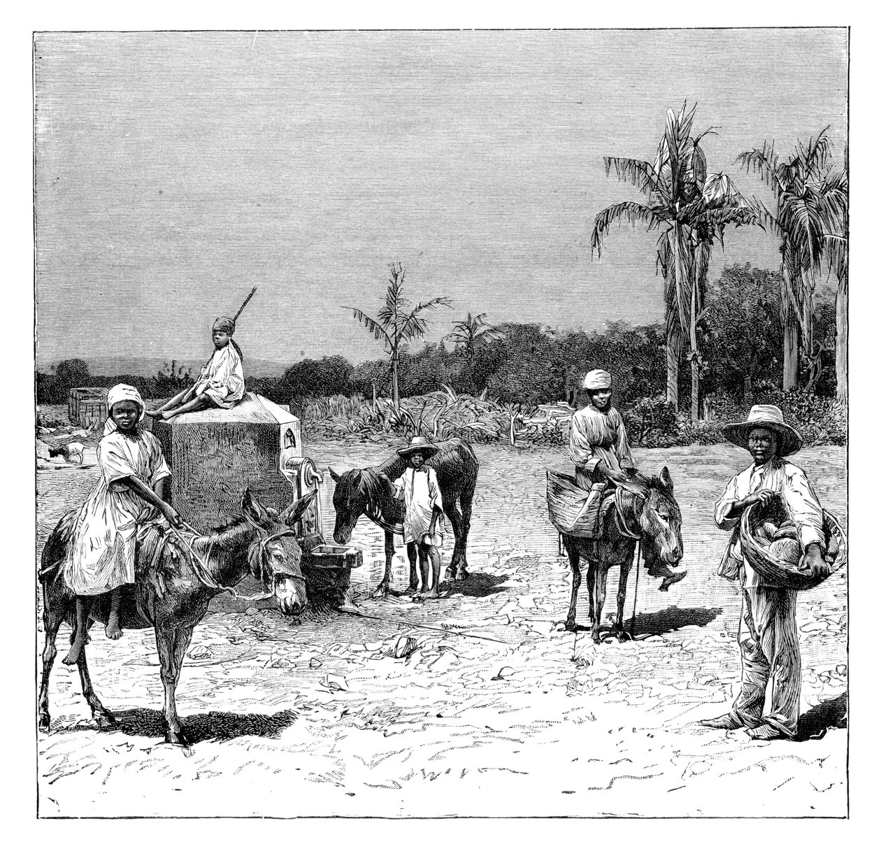 Grupo de haitianos, c1890 de Unbekannt