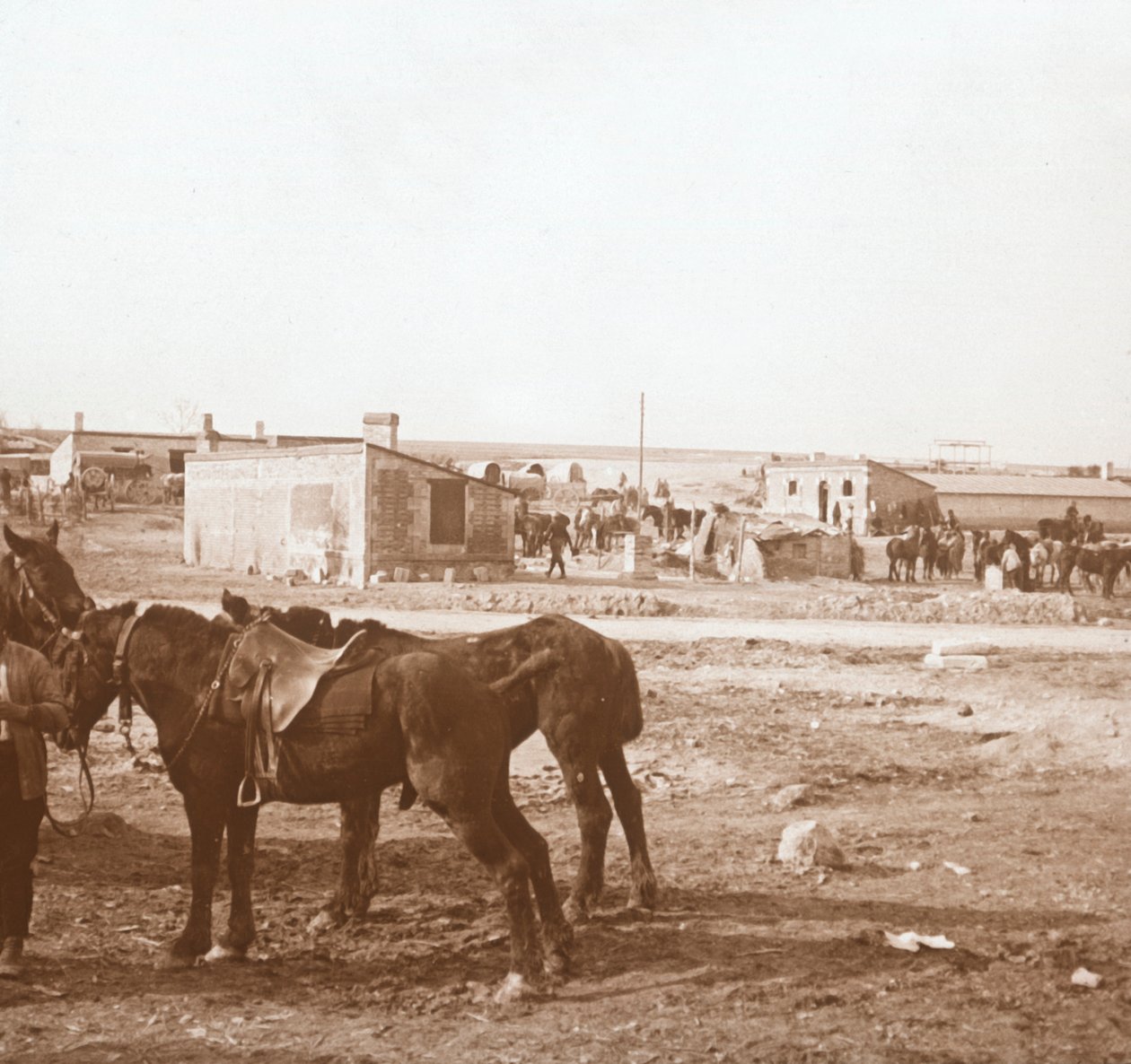 Cavalos, Somme-Peat, norte da França, c1914-c1918 de Unbekannt