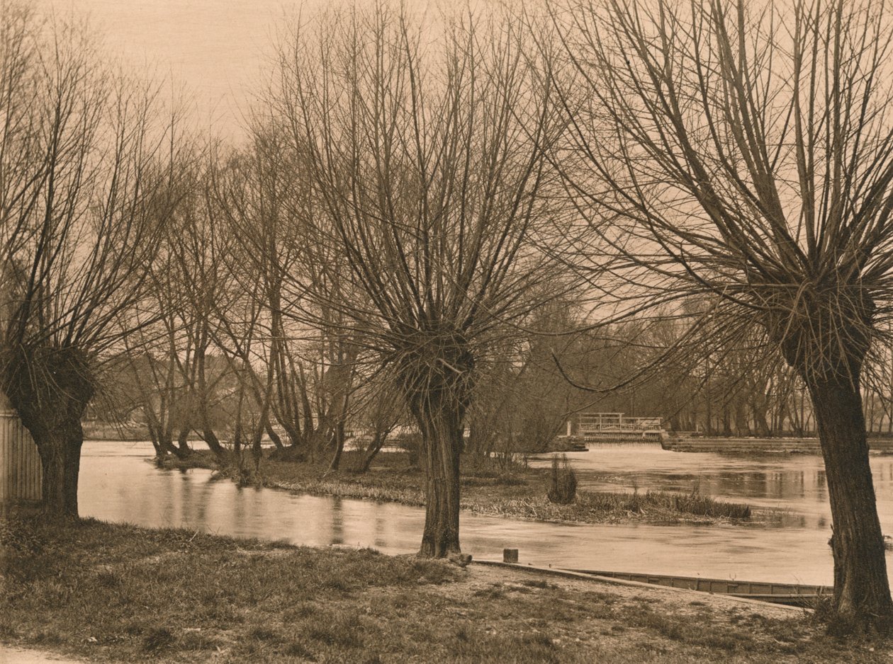 Pangbourne Weir, 1902 de Unbekannt