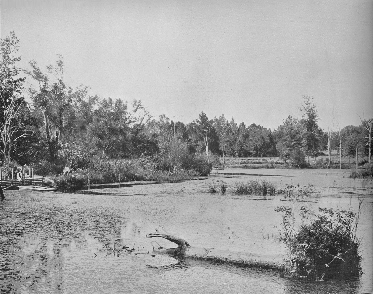 Cena no Mississippi, c1897. de Unbekannt