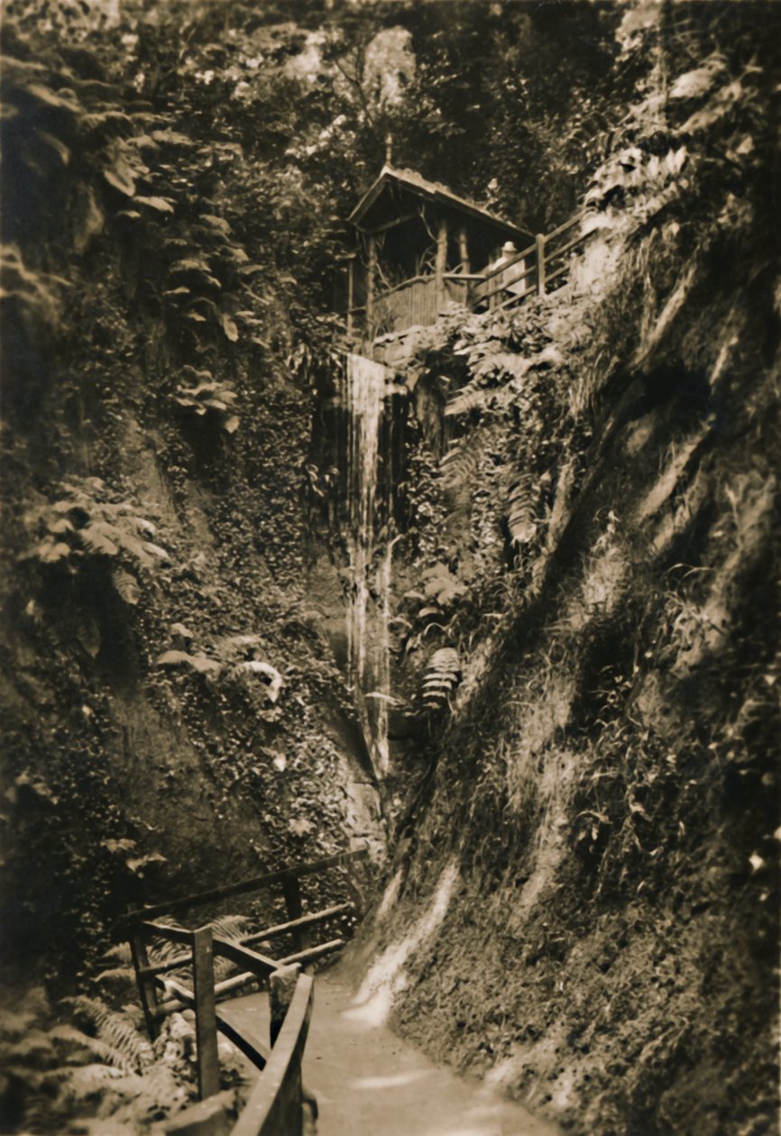 Shanklin Chine, IW, c1920. de Unbekannt