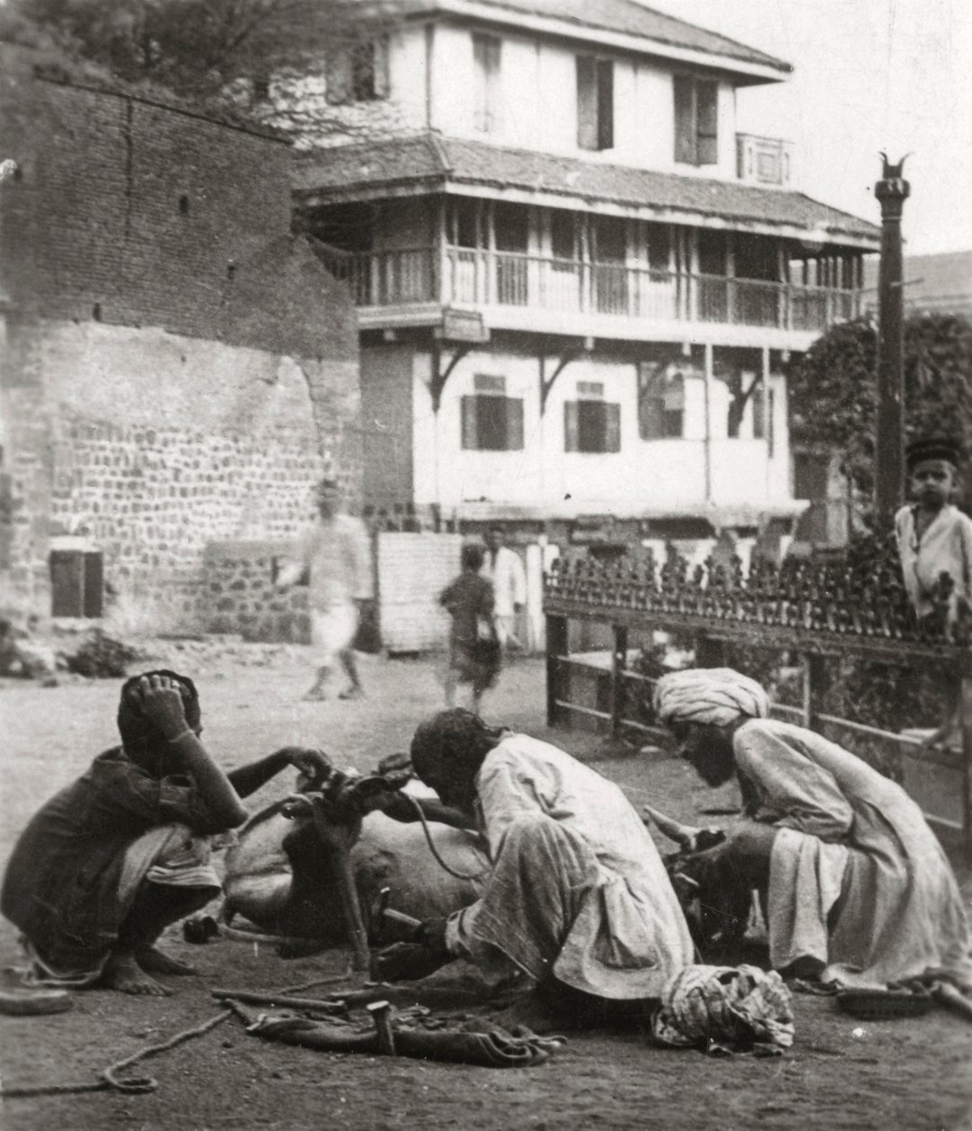 Tiro de boi, Índia, c1927-c1929 de Unbekannt