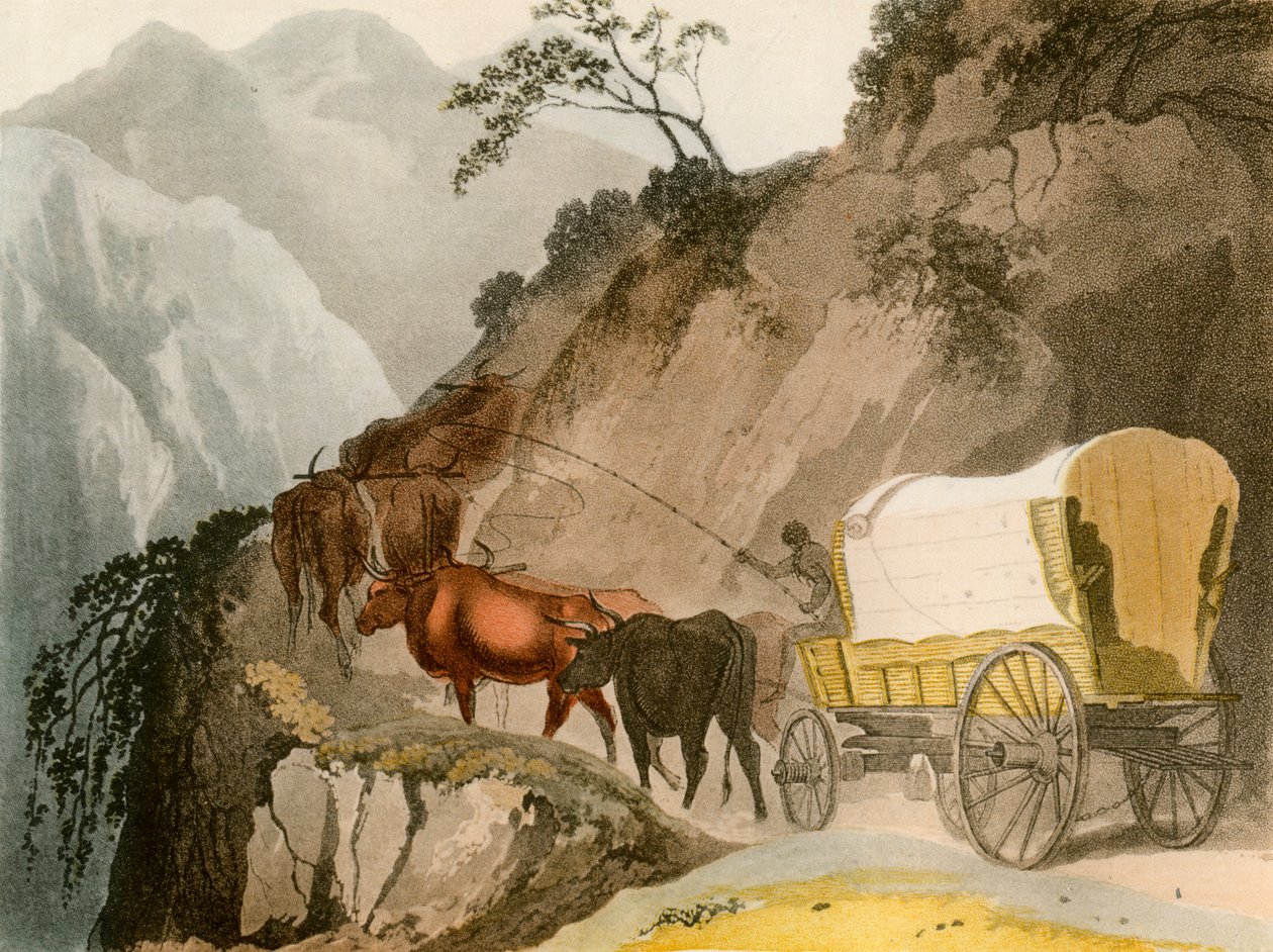 O Caminho dos Voortrekker, 1931 de Unbekannt