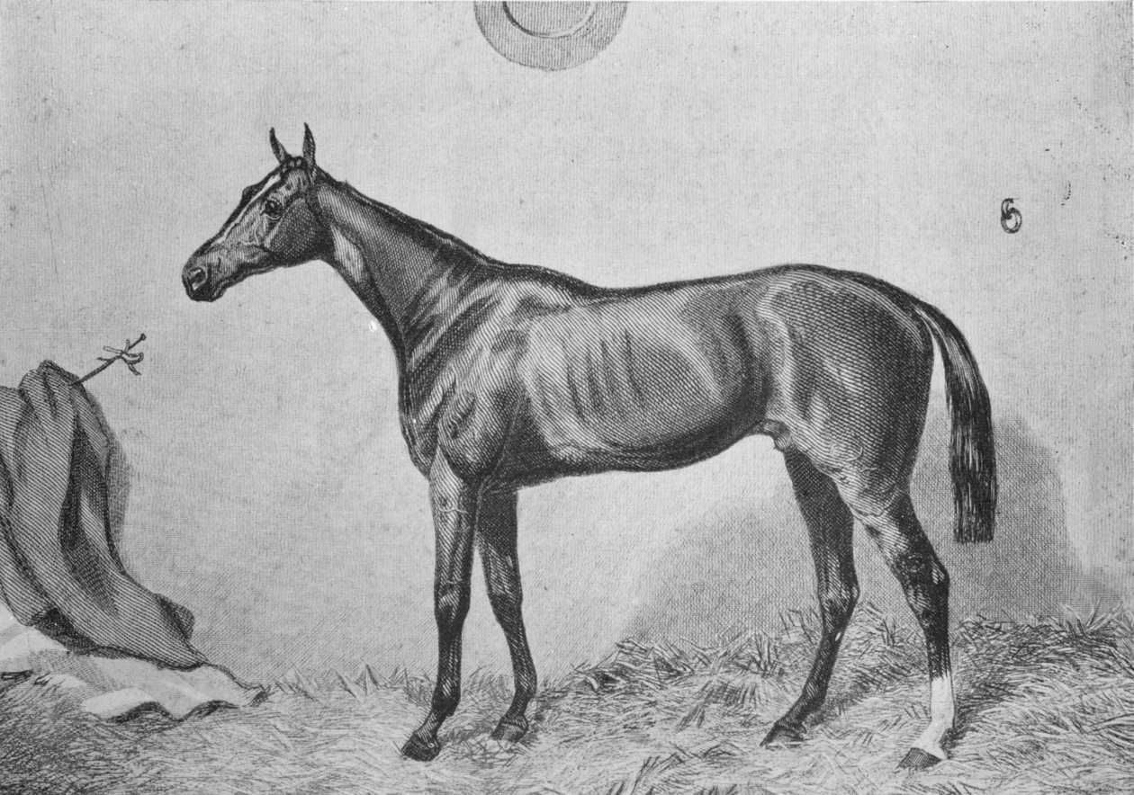 Thormanby, c1860, 1911 de Unbekannt
