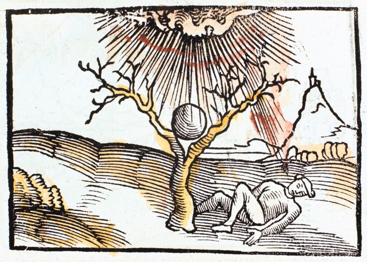 Raio ou raio, 1508. de Unbekannt