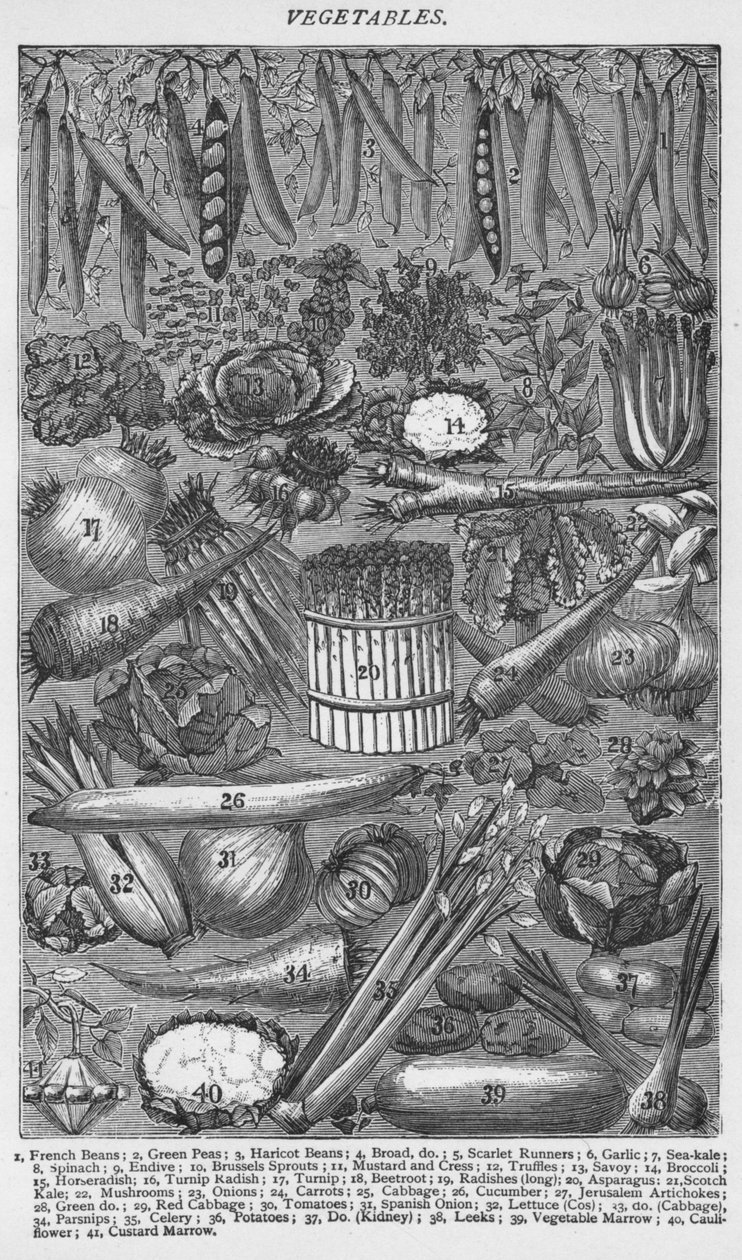 Legumes, 1907, 1907 de Unbekannt