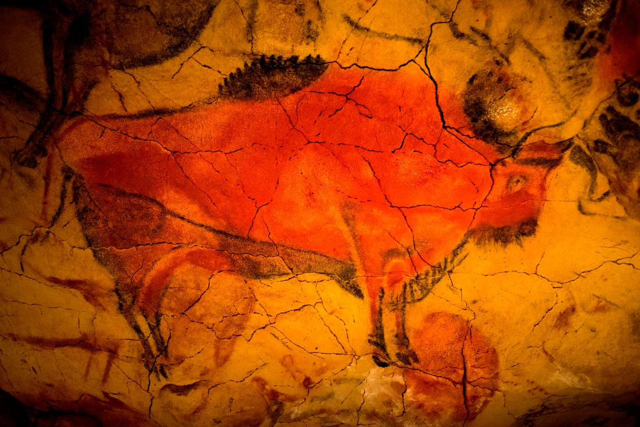 Bison, quadro, em, Altamira, cavernas, museu paleolithic superior, Santander, cantabria, espanha de Unbekannt Unbekannt