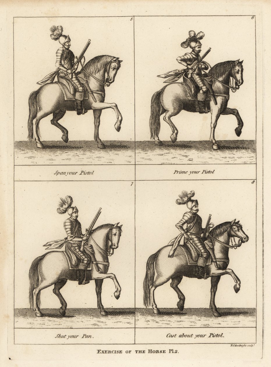 Exercício do cavalo de Unbekannt