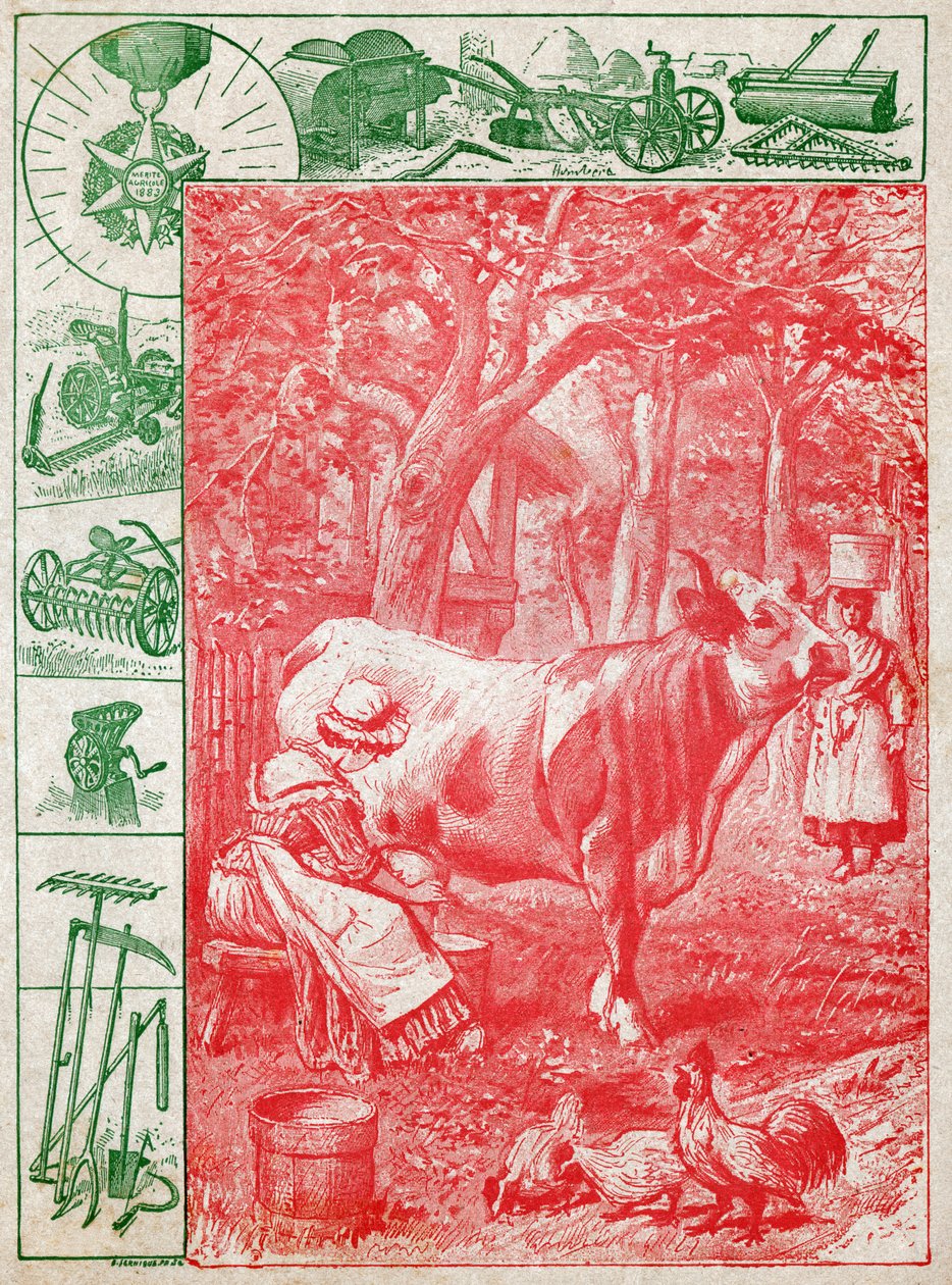 Le lait. O Leite. de Nicolas Liez
