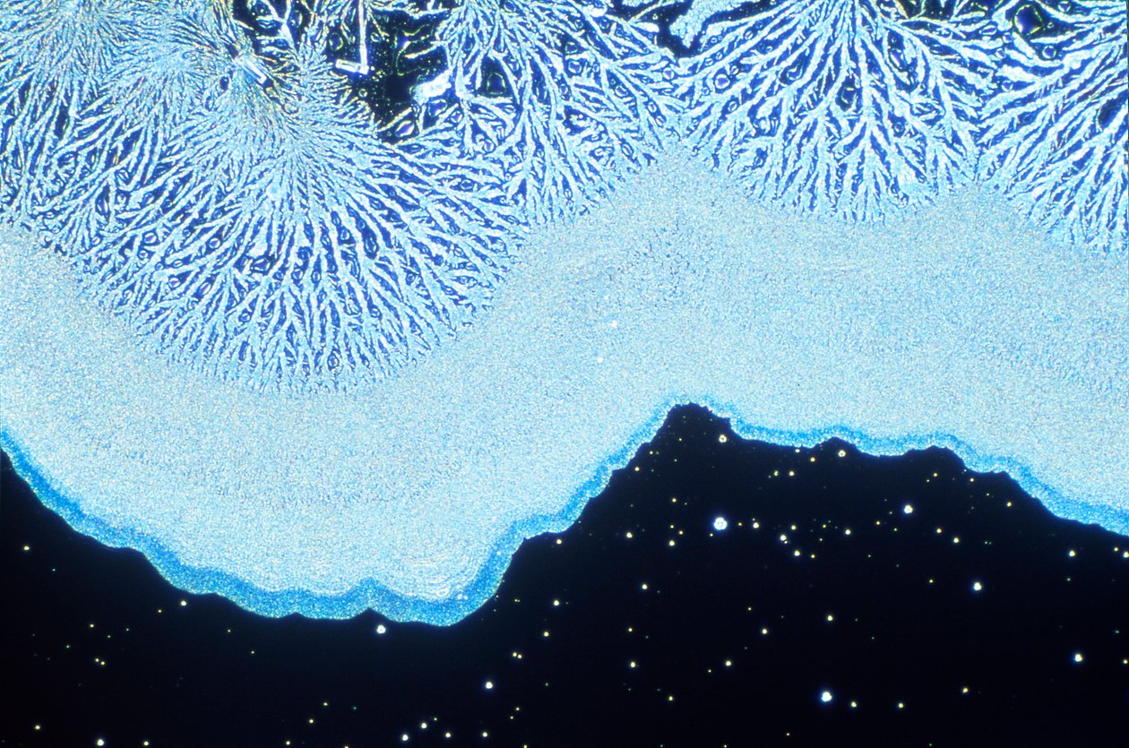 Micrográficos (Light) Sílica coloidal, micrográfico leve de Unbekannt