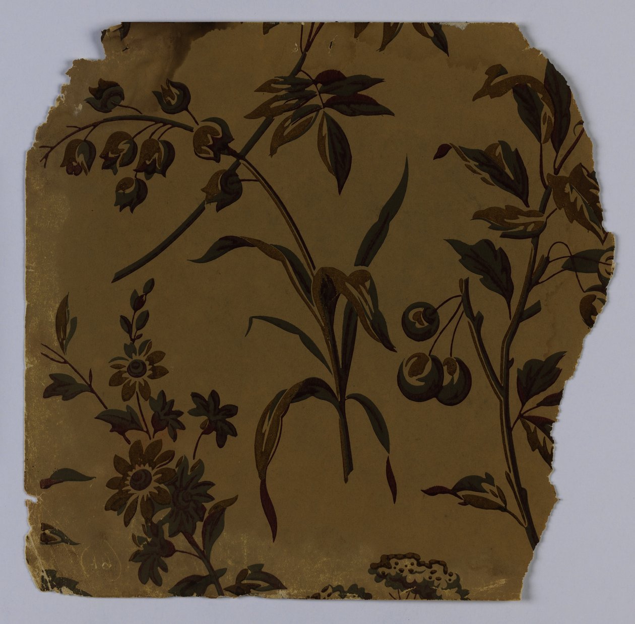 Amostra de parede lateral, 1880-90 de Unknown