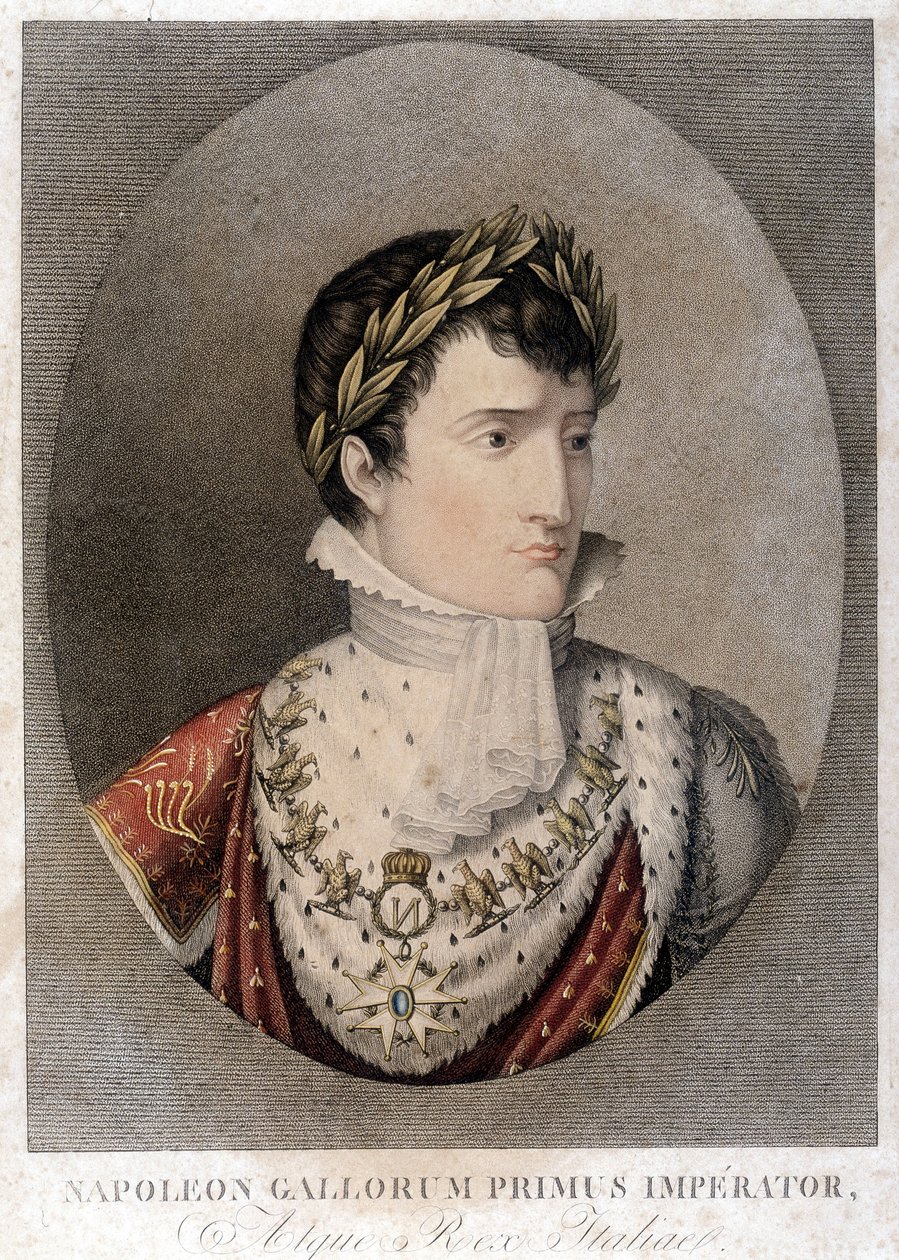 Retrato do Imperador Napoleão. de Unknown artist