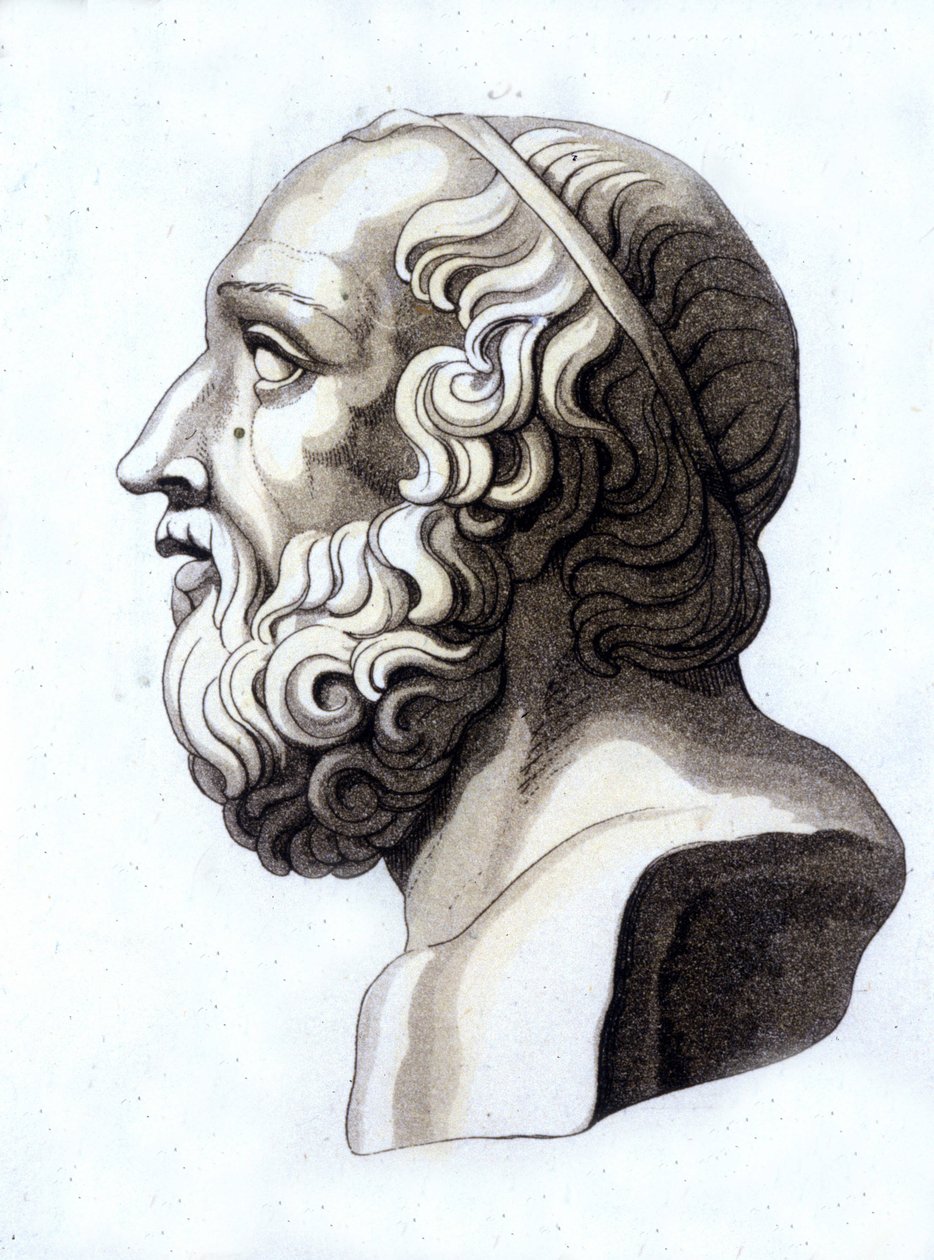 Retrato de Platão (-428; -348). de Unknown artist