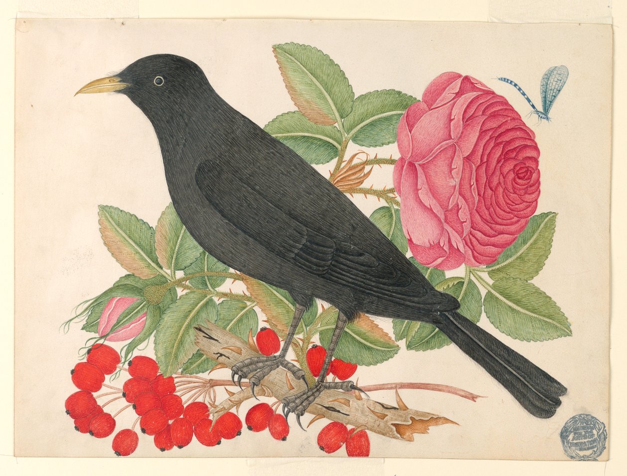 Pássaro Negro com Rosas de Unknown artist