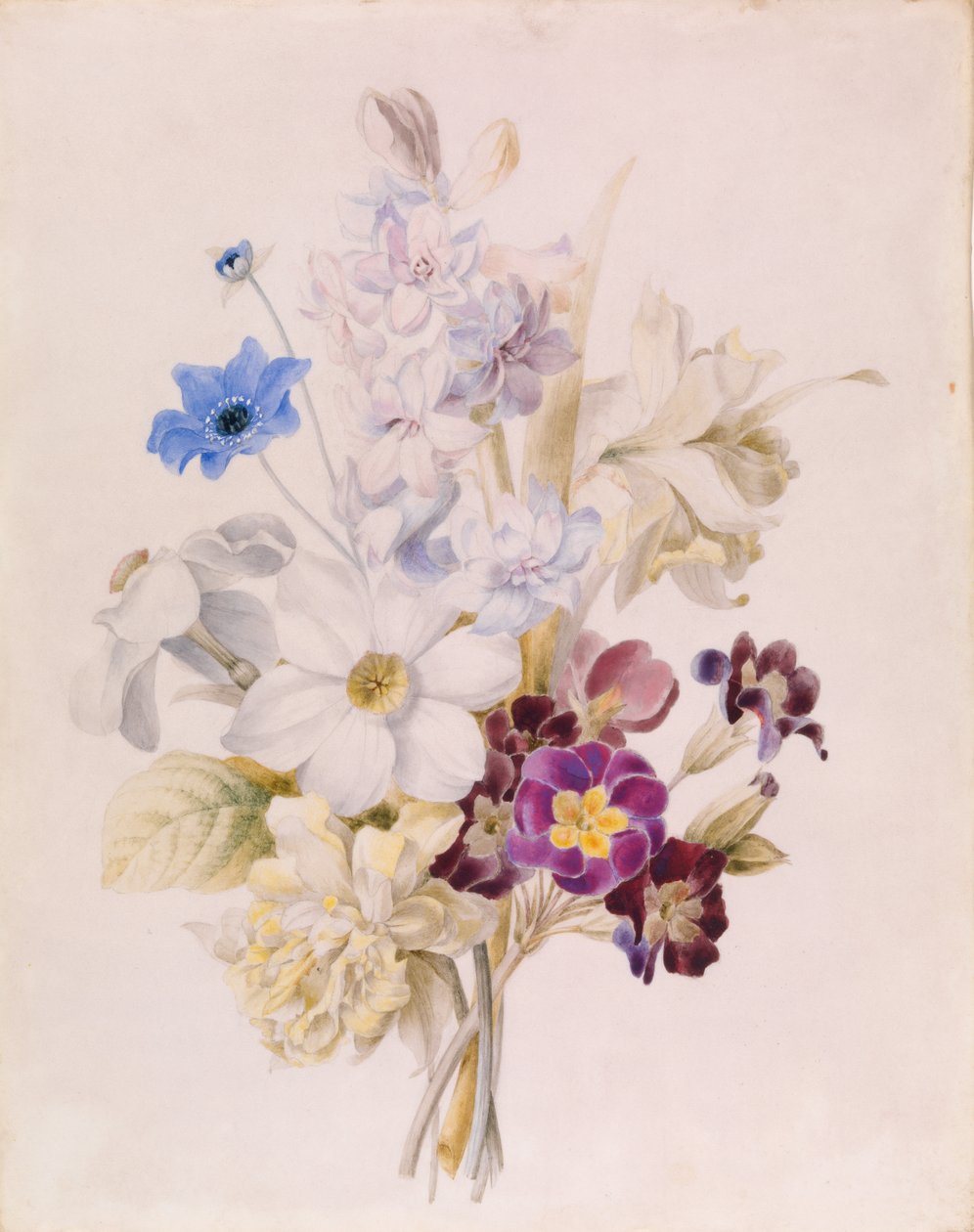 Narciso e outras flores de Unknown artist