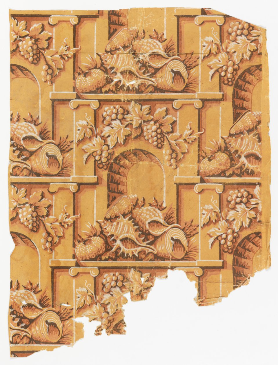 Conchas no arco de Unknown artist