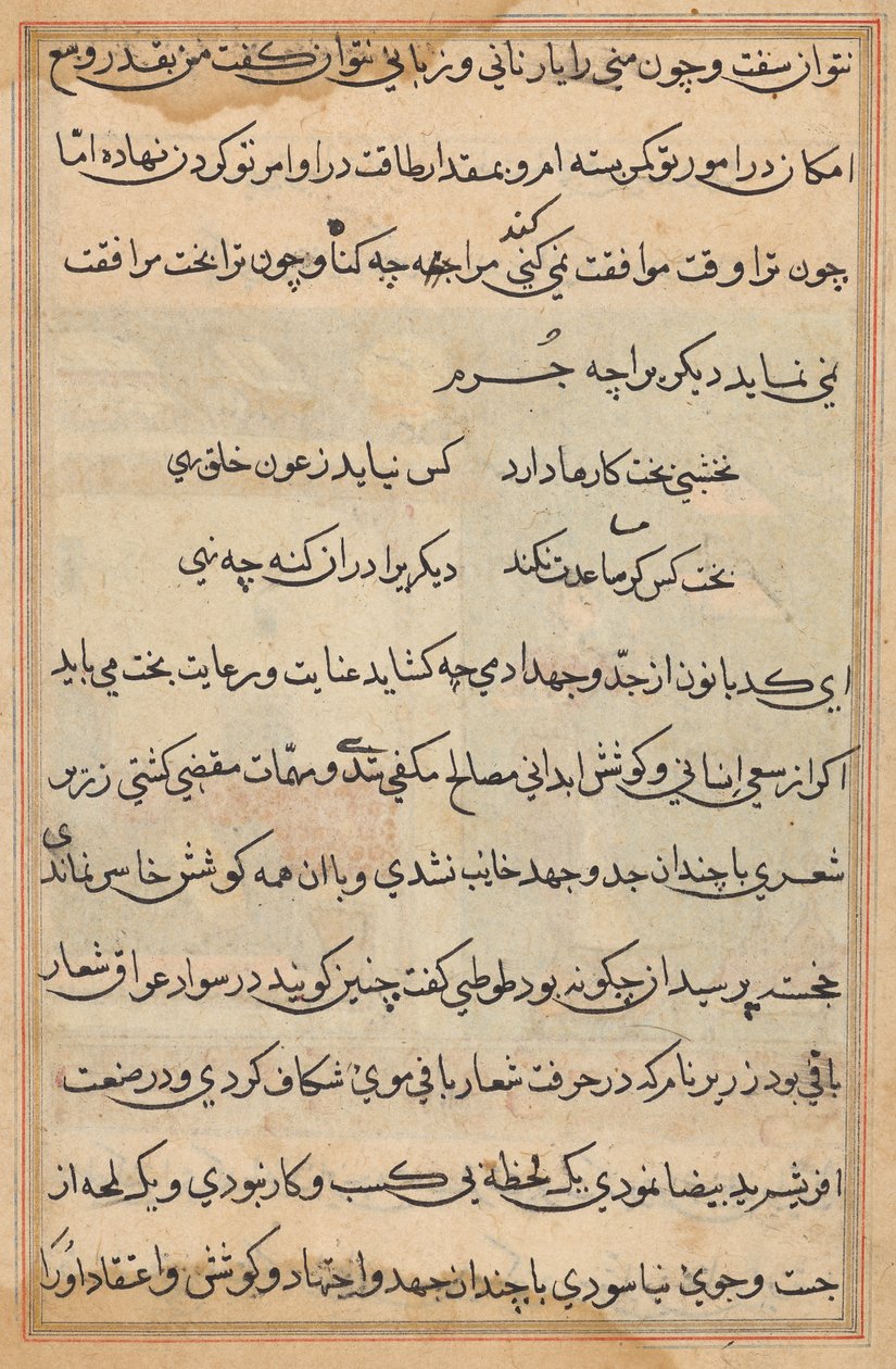 Tuti-Nama (Contos de um Papagaio) de Unknown artist